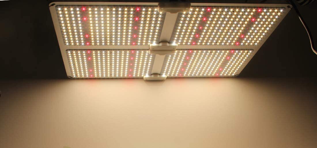 LED Grow Lights