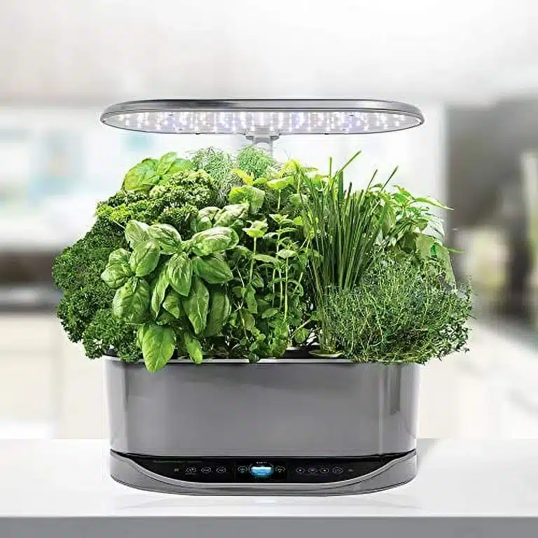 AeroGarden basic bounty plant setup with integrated light