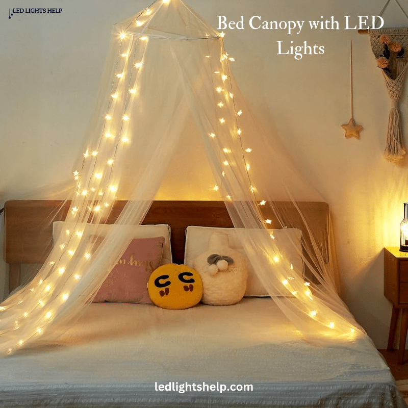 Bed Canopy with LED Lights