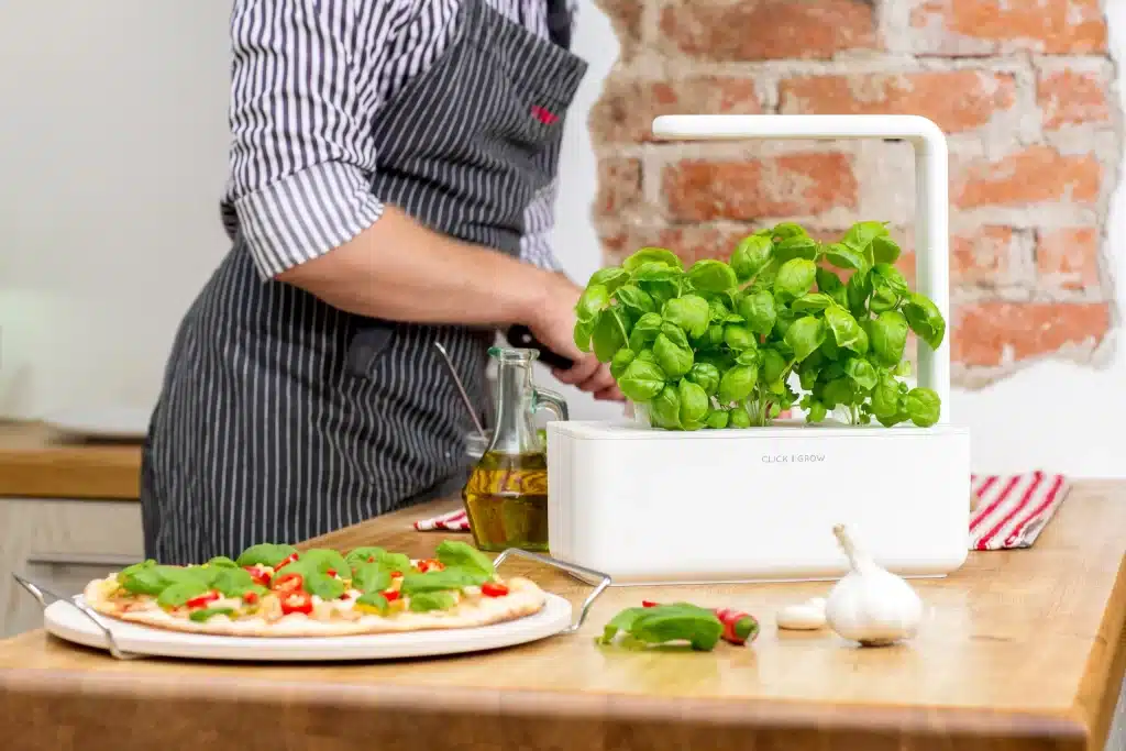 a person cutting the veggies a click and grow plant system with LED light on top place don the table