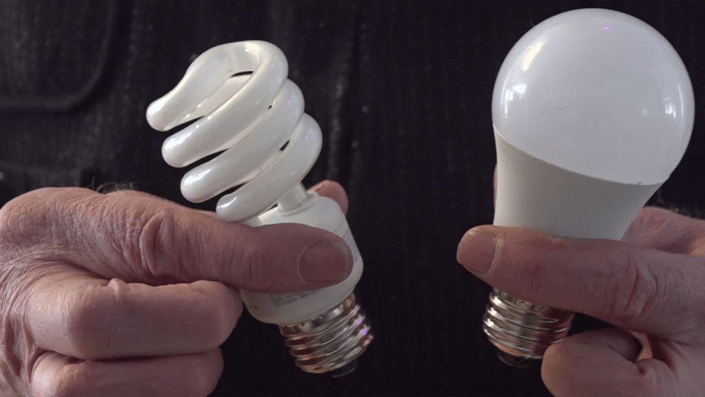 a persons hand holding bulbs