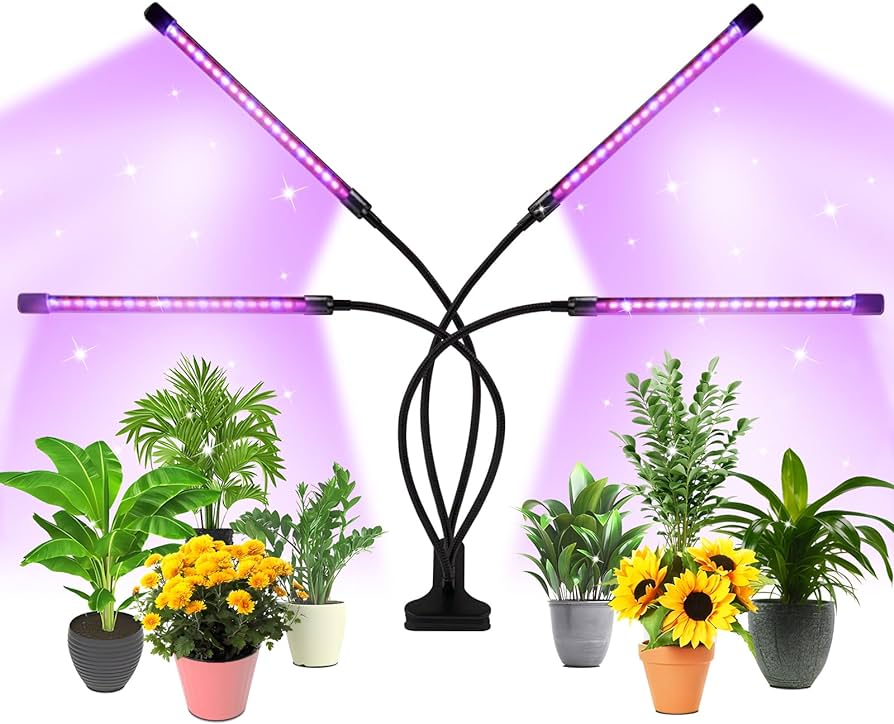 a stand of Leotar with LED lights throwing light to a number of flower pots