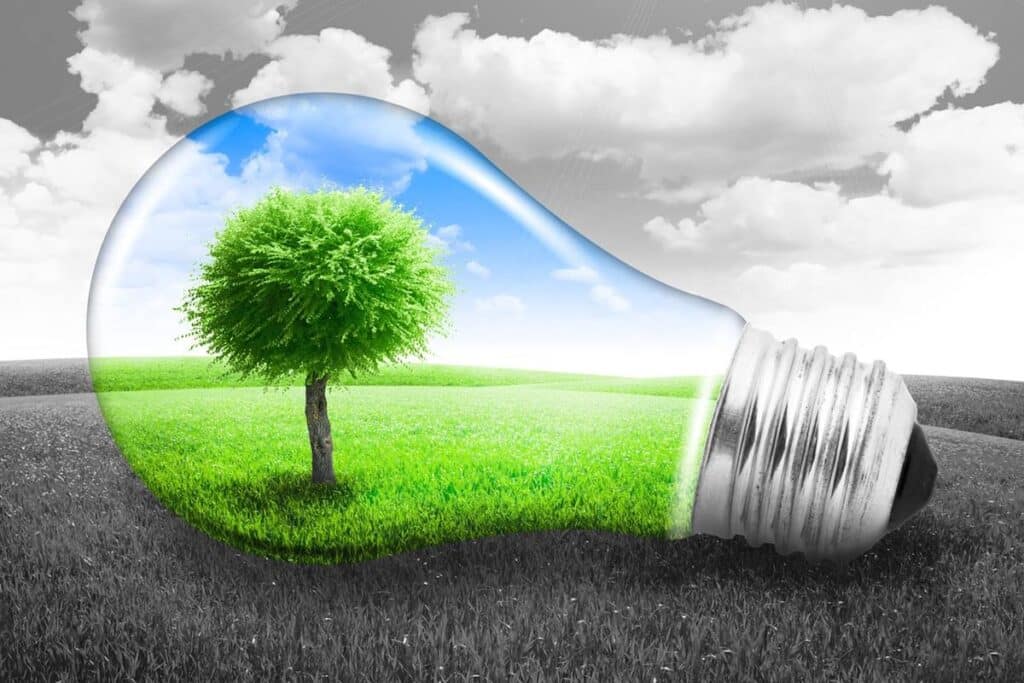 an illustration of green planet with a tree and green land inside a bulb