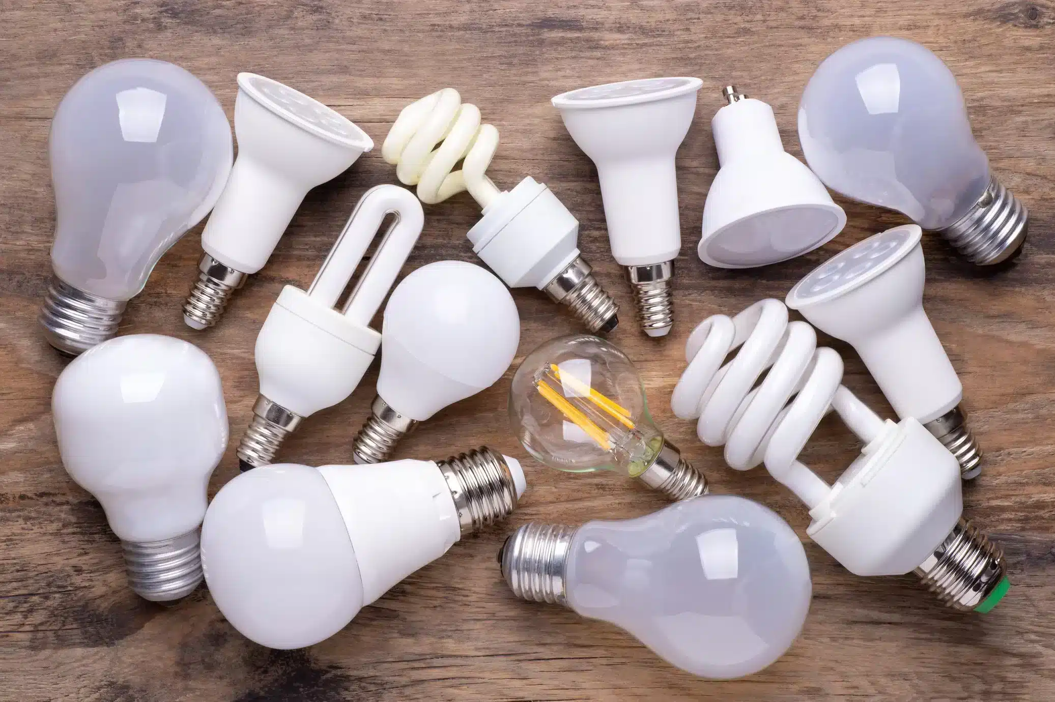 different sizes and shapes of light bulbs