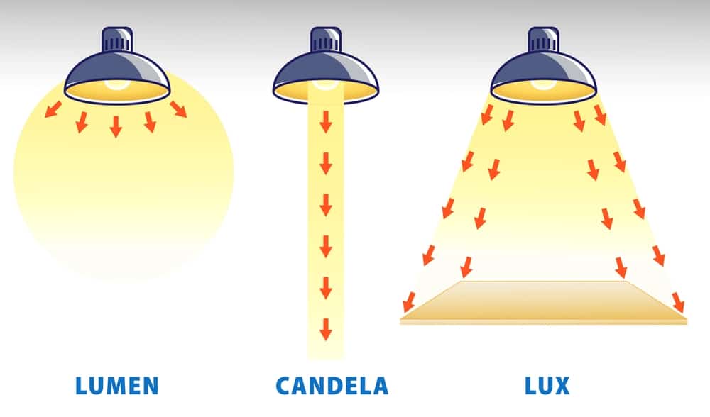 Lumens Lux Candela Illustration Measurement Concept d Illustrator